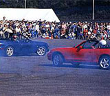 Roadster 10th Anniversary Meeting�@PHOTO#042